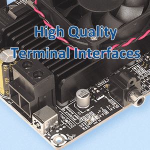 AA-AB32191 WONDOM TAS5630B 2 X 300Watt Class D Audio Amplifier Board