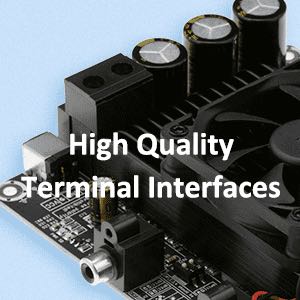 AA-AB32221 WONDOM TAS5613 2 x 150Watt Class-D Audio