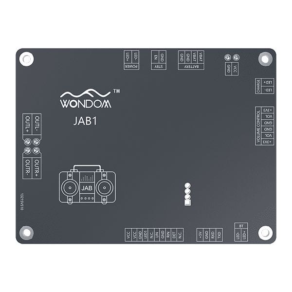 AA-JA32151v2 WONDOM JAB1v2 2 x 15Watt Audio Amplifier Board with