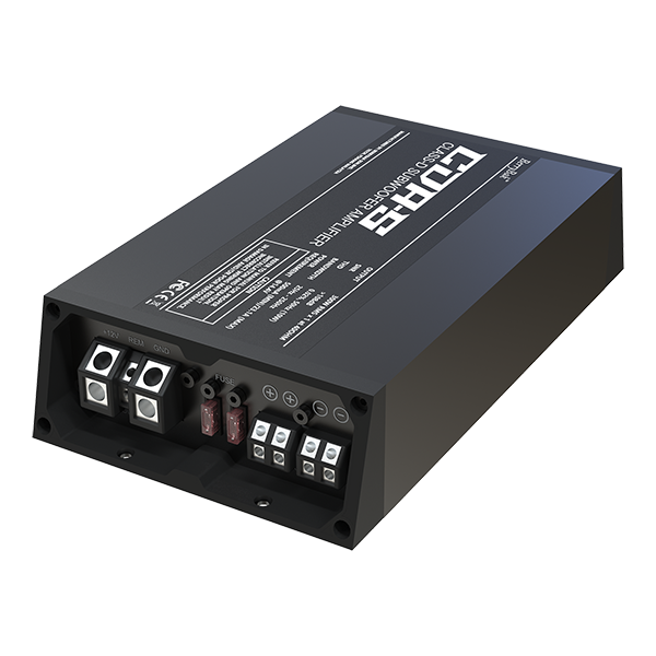 AACA31111 WONDOM TPA3255 CDAS 300W Car Audio Subwoofer Amplifier with