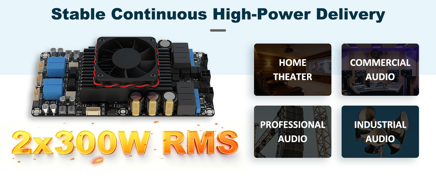 AA-AB32495 Pre-Sale AAM8 Dual TPA3255 True 2 x 300W RMS Line